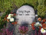 Villy Fogh.jpg